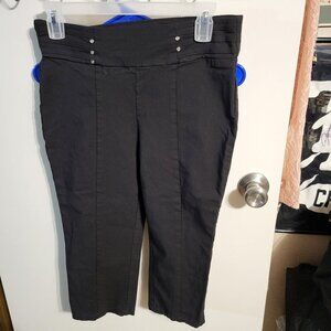WOMANS RAFAELLA STRETCHY CAPRI PANTS SZ 10